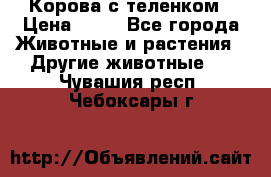 Корова с теленком › Цена ­ 69 - Все города Животные и растения » Другие животные   . Чувашия респ.,Чебоксары г.